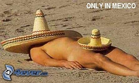 mexican,-sunbathing,-sombrero,-beach-130339.jpg