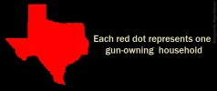 Map of Texas Gun Owners.webp