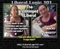 liberal-logic-101-432.webp