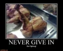 never-give-dead-chicken-lol.webp