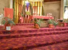 Altar Palm Subday 2017.webp