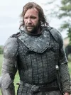 Sandor_Clegane-The_Hound-Rory_McCann.webp