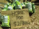 horse-poo-bags[1].webp