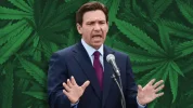 florida-desantis-cannabis[1].webp