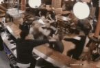 alcohol-fight[1].gif