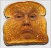 djt toast.webp