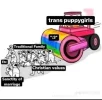 transpuppygirls.webp