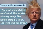 Trump hatesthewind.webp