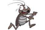 Running-Roach[1].webp