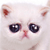 sad-kitty-smiley-emoticon[1].gif