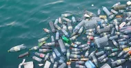 web_830x437_media-oceanplasticspollutionbottles[1].webp