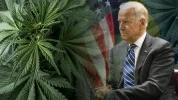 joe-biden-marijuana[1].webp