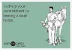 i-admire-your-commitment-to-beating-a-dead-horse-d8ccf[1].webp