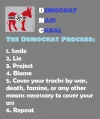 DNC process.webp