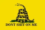 Gadsden Flag.webp