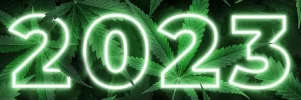 2023-marijuana-top-10-1[1].webp