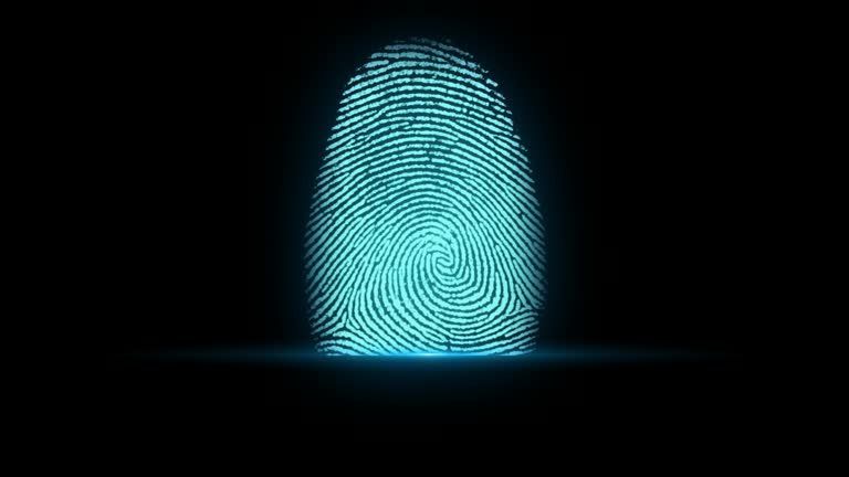 4k-fingerprint-identification.jpg